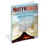 okładka książki MotywAkcja (Wersja drukowana) książka MotywAkcja (Wersja drukowana)